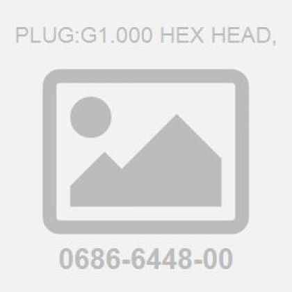 Plug:G1.000 Hex Head,